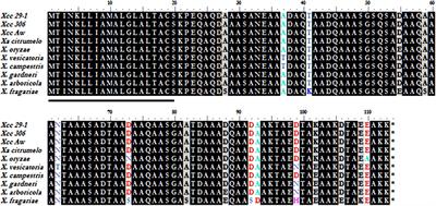 The ColRS-Regulated Membrane Protein Gene XAC1347 Is Involved in Copper Homeostasis and hrp Gene Expression in <mark class="highlighted">Xanthomonas citri</mark> subsp. citri